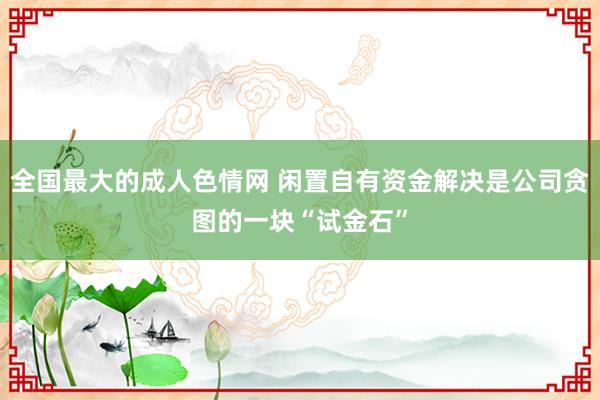 全国最大的成人色情网 闲置自有资金解决是公司贪图的一块“试金石”