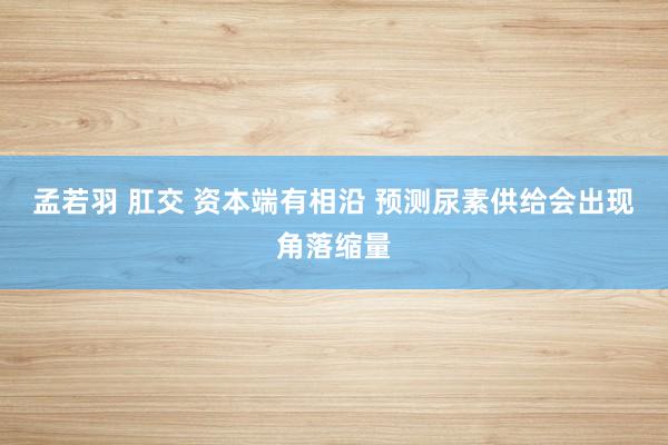 孟若羽 肛交 资本端有相沿 预测尿素供给会出现角落缩量