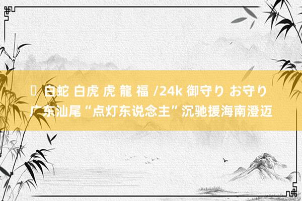 ✨白蛇 白虎 虎 龍 福 /24k 御守り お守り 广东汕尾“点灯东说念主”沉驰援海南澄迈
