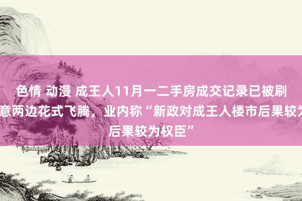 色情 动漫 成王人11月一二手房成交记录已被刷新，生意两边花式飞腾，业内称“新政对成王人楼市后果较为权臣”