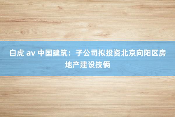 白虎 av 中国建筑：子公司拟投资北京向阳区房地产建设技俩