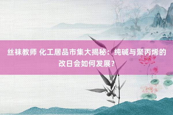 丝袜教师 化工居品市集大揭秘：纯碱与聚丙烯的改日会如何发展？
