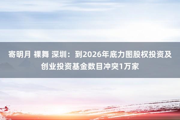 寄明月 裸舞 深圳：到2026年底力图股权投资及创业投资基金数目冲突1万家